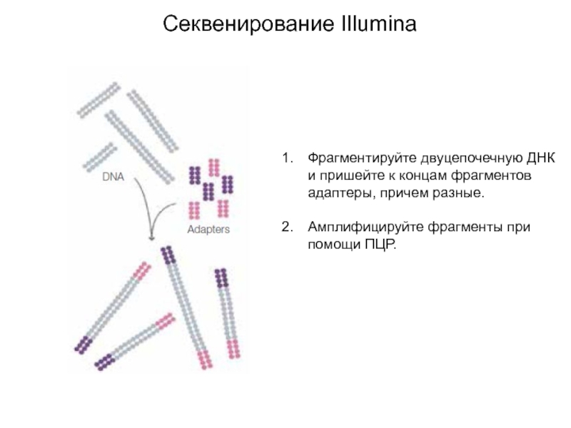 Схема секвенирования sbs