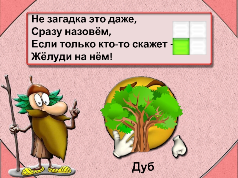 Сразу назвать. Загадка про Желудь для детей. Шутка про Желудь. Загадка про Желудь 1 класс. Детские загадки про желуди.