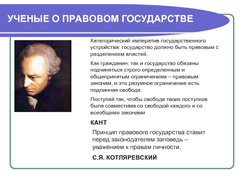 Мнение о государстве. Ученые о правовом государстве. Высказывания о правовом государстве. Высказывания ученых о государстве. Кант правовое государство.