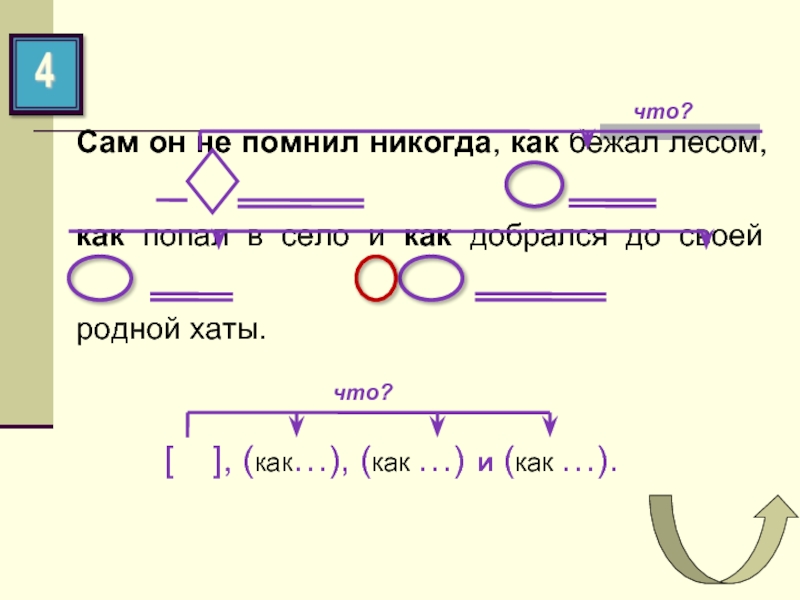 Основа предложения в лесу