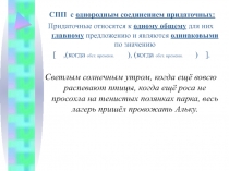 СПП с однородным соединением придаточных