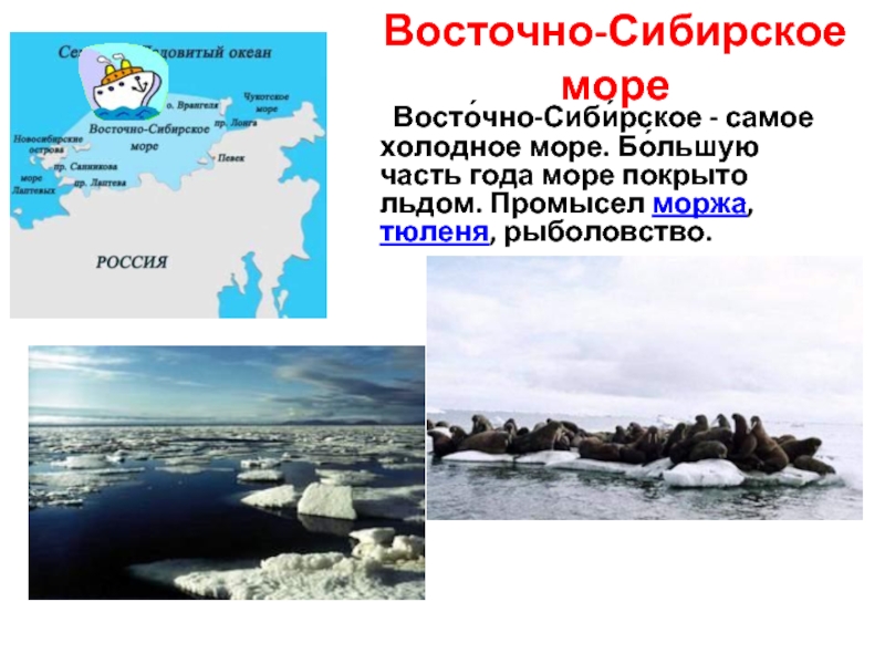 Порты восточно сибирского моря