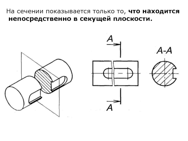 Сечение и разрез