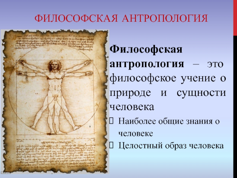 Философское учение о природе. Философская антропология. Антропологическая философия. Антропология это в философии. Человек философия антропология.