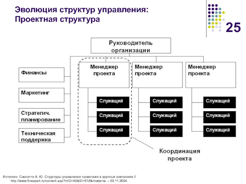 Сильными сторонами проектной структуры управления проектами являются