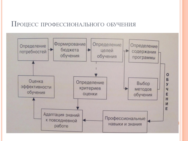 Процесс профессионального обучения. Процесс профессионализации. Профессиональный процесс. Определение потребностей в профессиональном обучении..