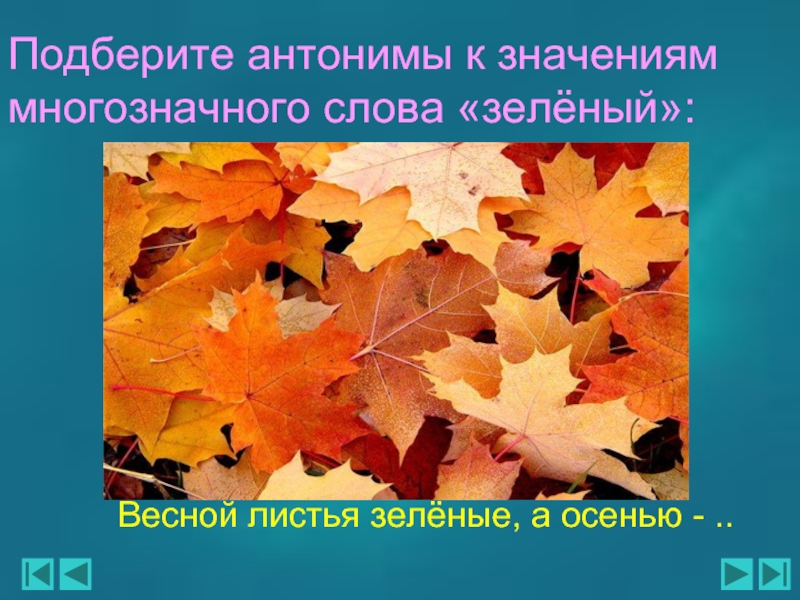 Презентация антонимы 5 класс. Антонимы на тему осень. Антонимы к слову лист. Сухие листья антоним. Весна и осень это антонимы.