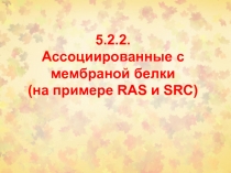 5.2.2. Ассоциированные с мембраной белки (на примере RAS и SRC )