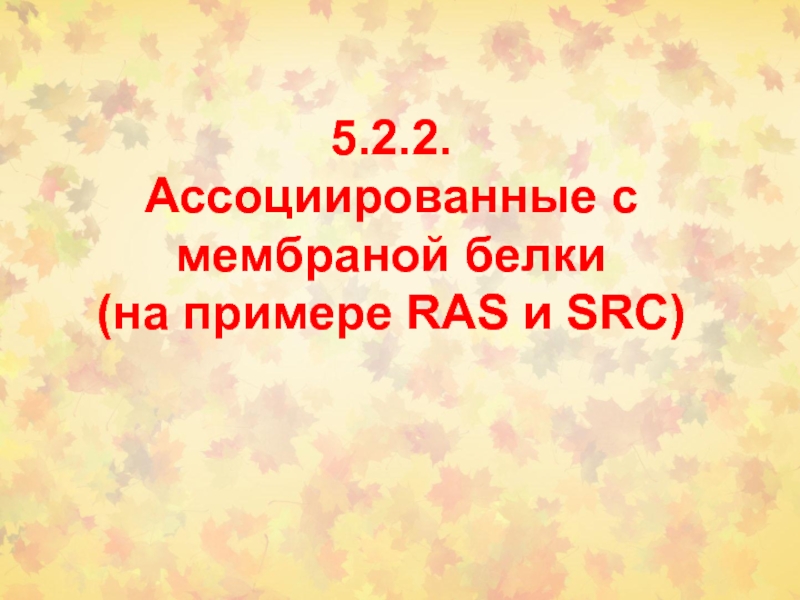 5.2.2. Ассоциированные с мембраной белки (на примере RAS и SRC )
