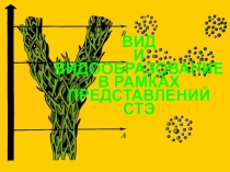 ВИД И ВИДООБРАЗОВАНИЕ В РАМКАХ ПРЕДСТАВЛЕНИЙ СТЭ