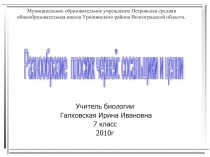 Разнообразие плоских червей сосальщики и цепни (7 класс)