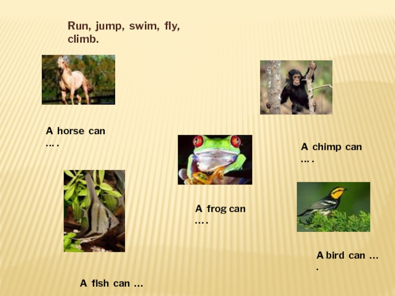 A chimp can sing. Глаголы Run Jump Swim на английском. Run Jump Swim Fly. Упражнения глаголы Jump Swim. Jump Fly Climb Swim Run.