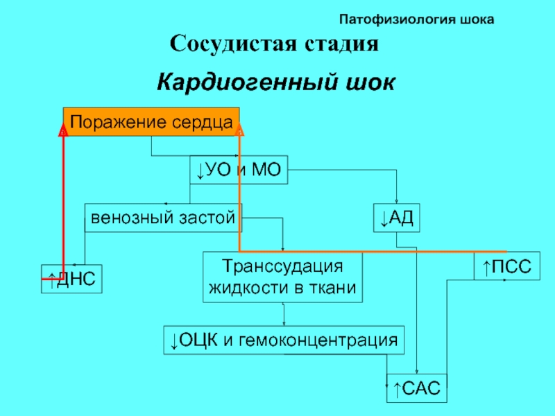 Шок патофизиология презентация