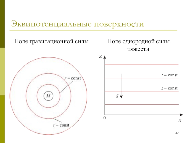 Однородная сила. Силовые линии гравитационного поля. Однородное гравитационное поле. Эквипотенциальные поверхности однородного поля. Гравитационное поле схема.