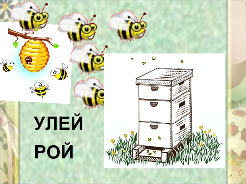 Картинка рой для детей