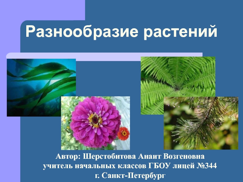 Разнообразие растений на Земле 3 класс
