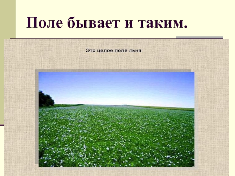 Поле природное сообщество 3 класс презентация