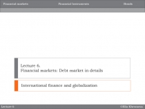 Lecture 6. Financial markets: Debt market in details
