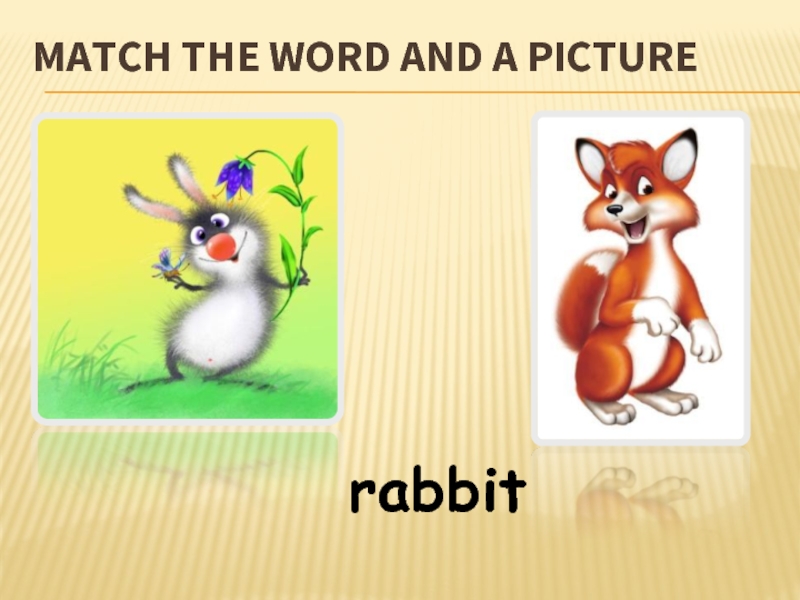 MATCH THE WORD AND A PICTURErabbit