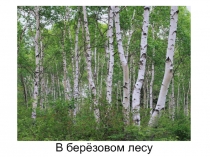 Сочинение осенний лес
