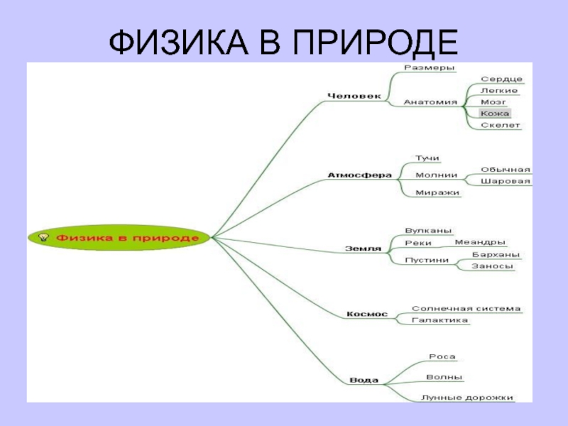 Физика и быт презентация