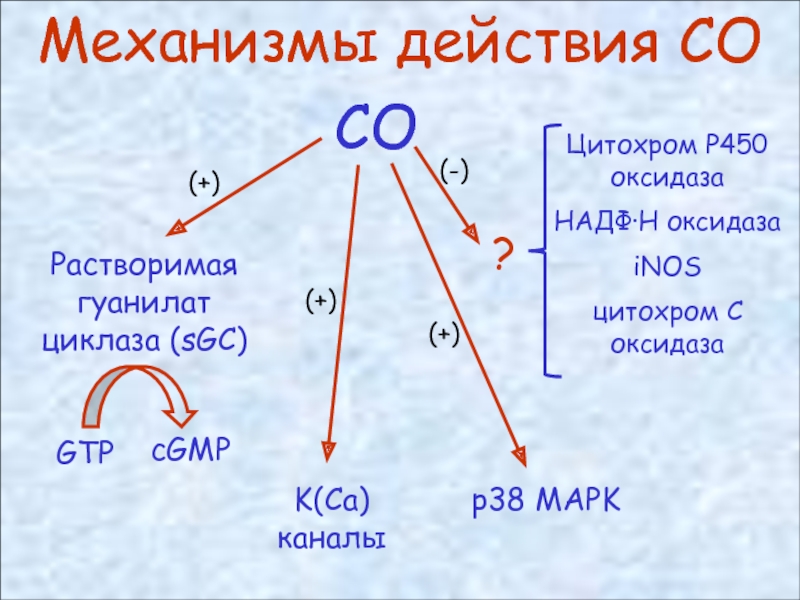 Роль со. Сосо2н.