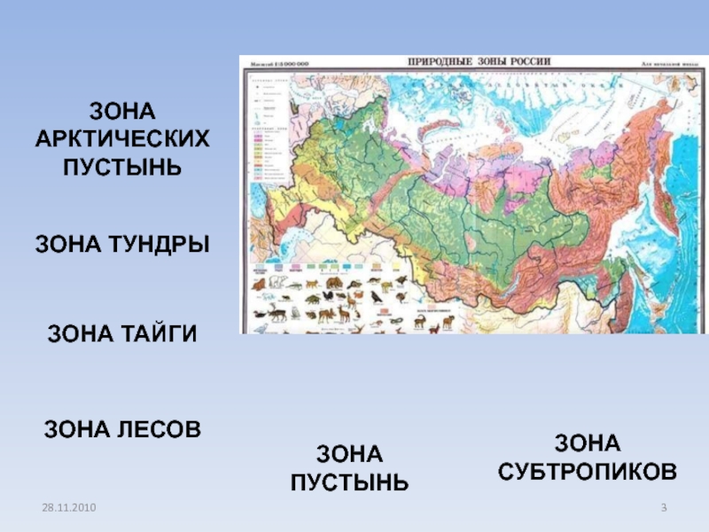 Карта природных зон тундра тайга. Тайга на карте. Зона тайги на карте. Тайга на карте России. Тайга природная зона на карте.