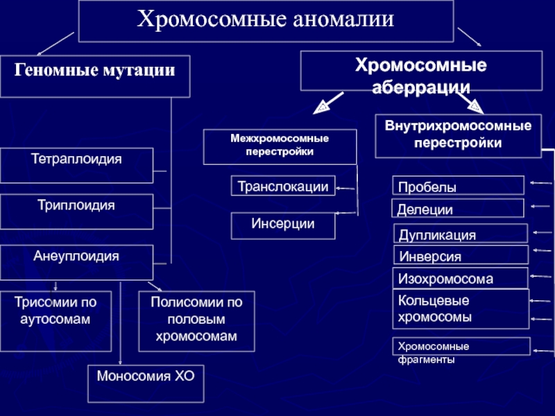 Хромосомные и геномные болезни презентация