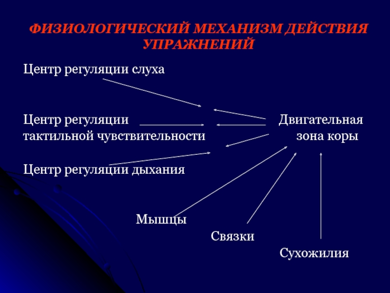 Центры регуляции. Физиологические механизмы поведения. Центр регуляции слуха. Трудовое поведение и механизмы его регуляции.. Физиологические механизмы биоритмогенеза.