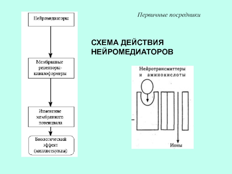 Схема действий это