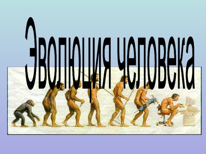 Эволюция человека