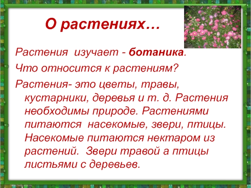 Образы растений и цветов в литературе проект