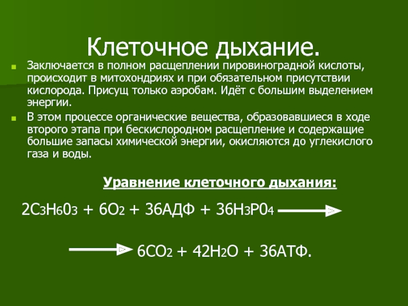 Молекулярные процессы расщепления презентация 11 класс биология