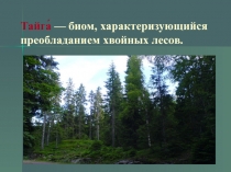 Тайга́ — биом, характеризующийся преобладанием хвойных лесов