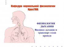 Дыхание внешнее, транспорт