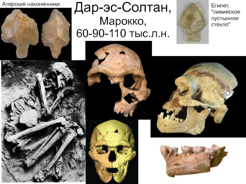 Антропогенез часть 18 пре-палеоантропы и палеоантропы Африки и Ближнего Дар-эс-Солтан, Марокко, 60-90-110 тыс.л.н.Египет, Дар-эс-Солтан, Марокко, 60-90-110 тыс.л.н.Египет,