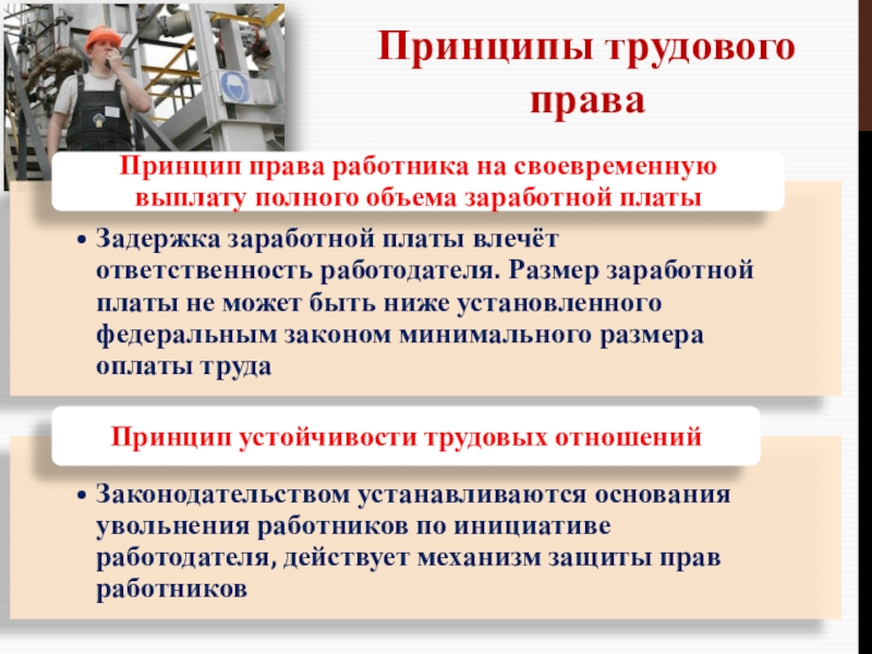 Трудовое право в жизни людей презентация 11 класс право певцова