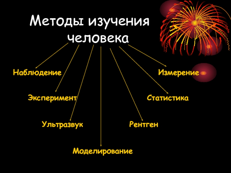 Науки которые изучают человека. Методы изучения человека 8 класс. Статистика эксперимента. Методы исследования человече. Методы изучения человеческого развития.