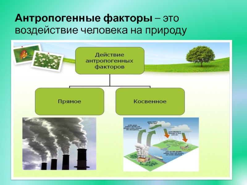 Этапы воздействия на окружающую среду