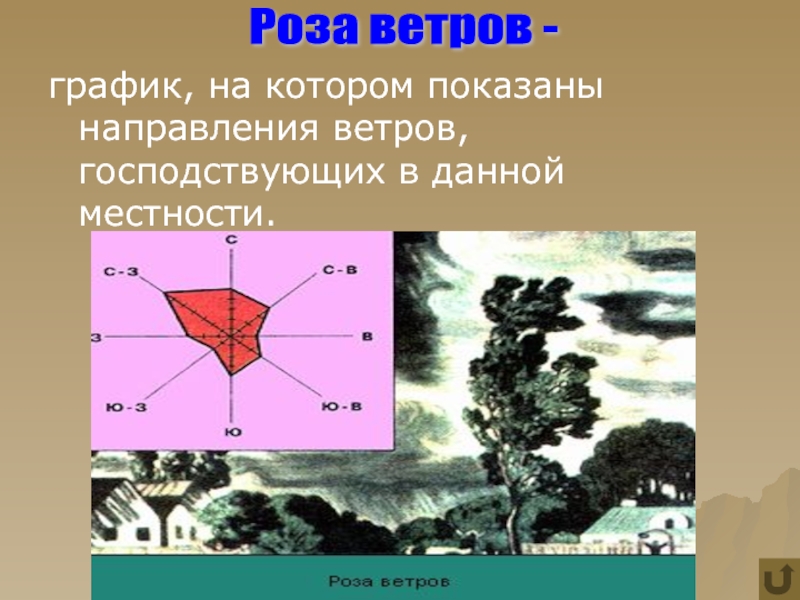 Ветер проект по географии