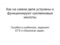 Как на самом деле устроены и функционируют нуклеиновые кислоты