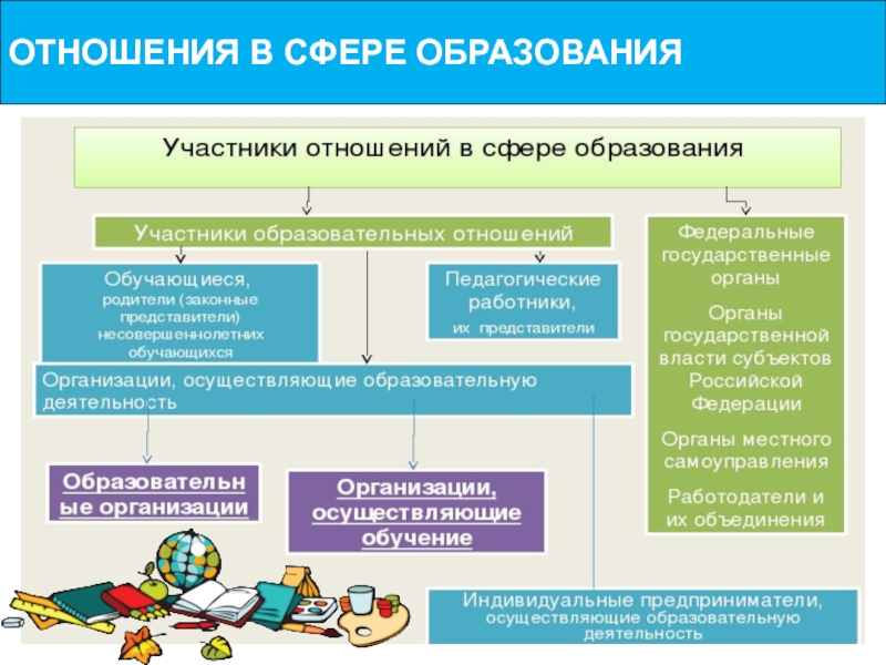 Отношения в сфере образования. Участники отношений в сфере образования. Участники образовательных отношений в сфере образования. Сфера образования.