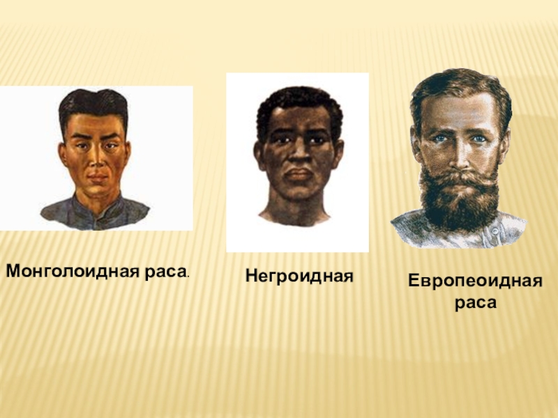 Все расы относятся к одному виду. Европеоидная монголоидная негроидная раса. Монголоидо негроидная расс. Европеоидная монголоидная негроидная раса таблица. Расси эвропоид монголоид не.