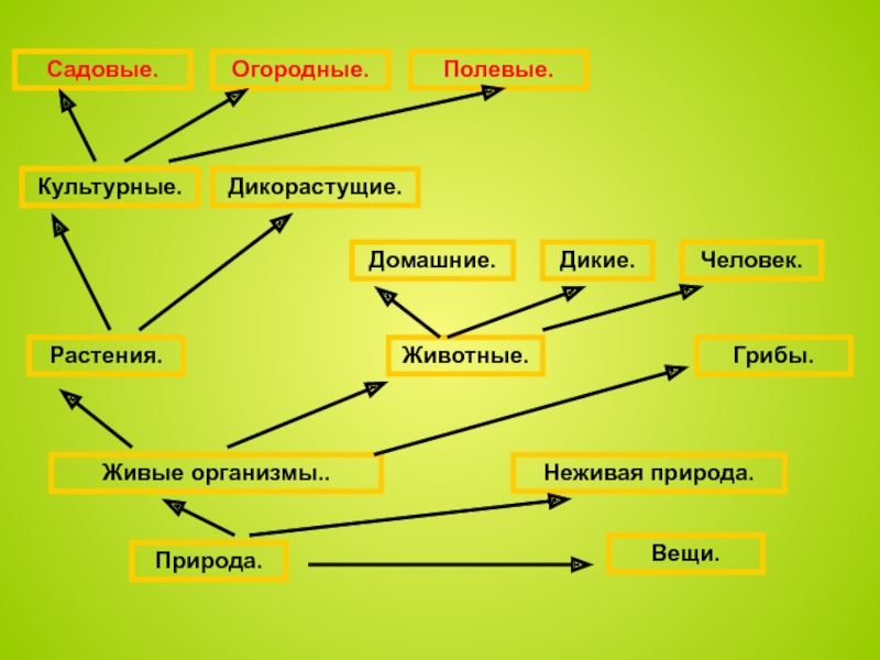 Дикорастущие и культурные растения тест. Дикорастущие и культурные растения Ростовской области. Культурные растения Ростовской области 2 класс. 2 Класс дикорастущие и культурные растения. Дикие и домашние животные. Решение дикорастущие и культурные.