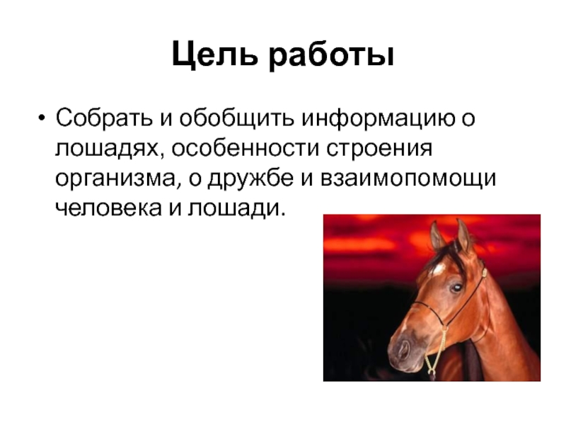 Особенно конь. Информация о лошадях. История лошади. Информация о коневодстве. Профессии, связанные с лошадьми презентация.