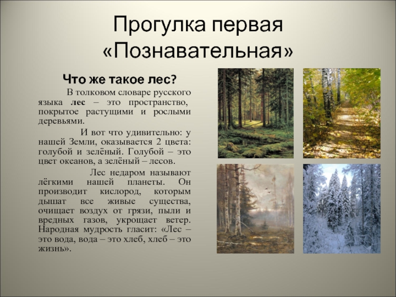 Текст в зеленом русском лесу. Прогулка по лесу текст. Лес Толковый словарь. Толковый словарь слово лес. Лесные слова в природном словаре.