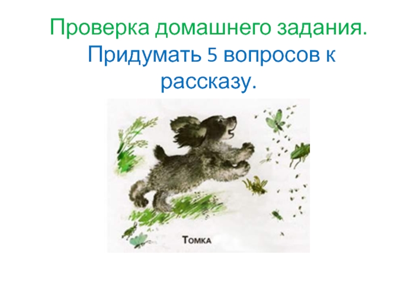 Чарушин томкины. Чарушин Томкины сны. Урок Чарушин Томкины сны. Томкины сны модель обложки Чарушин.