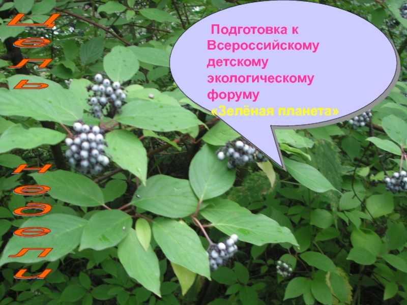 Цель  недели Подготовка к Всероссийскому детскому экологическому форуму «Зелёная планета»