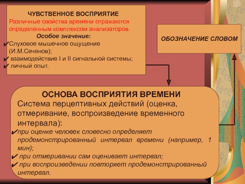 Свойства времени. Чувственное восприятие. Восприятие времени весь комплекс анализаторов. Потребность в чувственных впечатлениях.