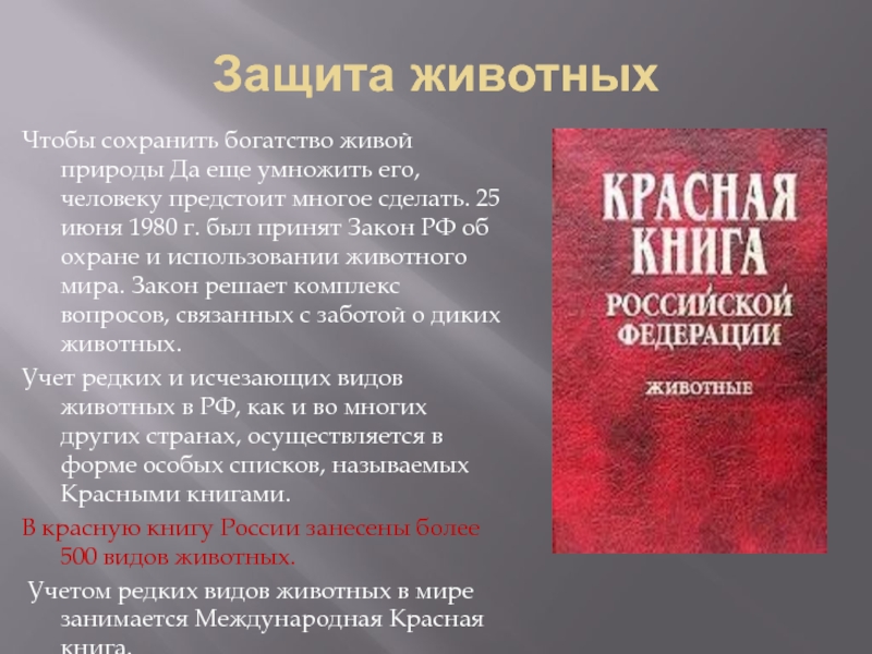 Презентация по биологии 5 класс важность охраны живого мира планеты